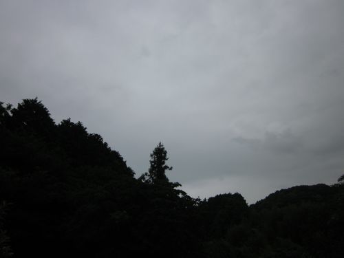 hatakumori2011-2.jpg
